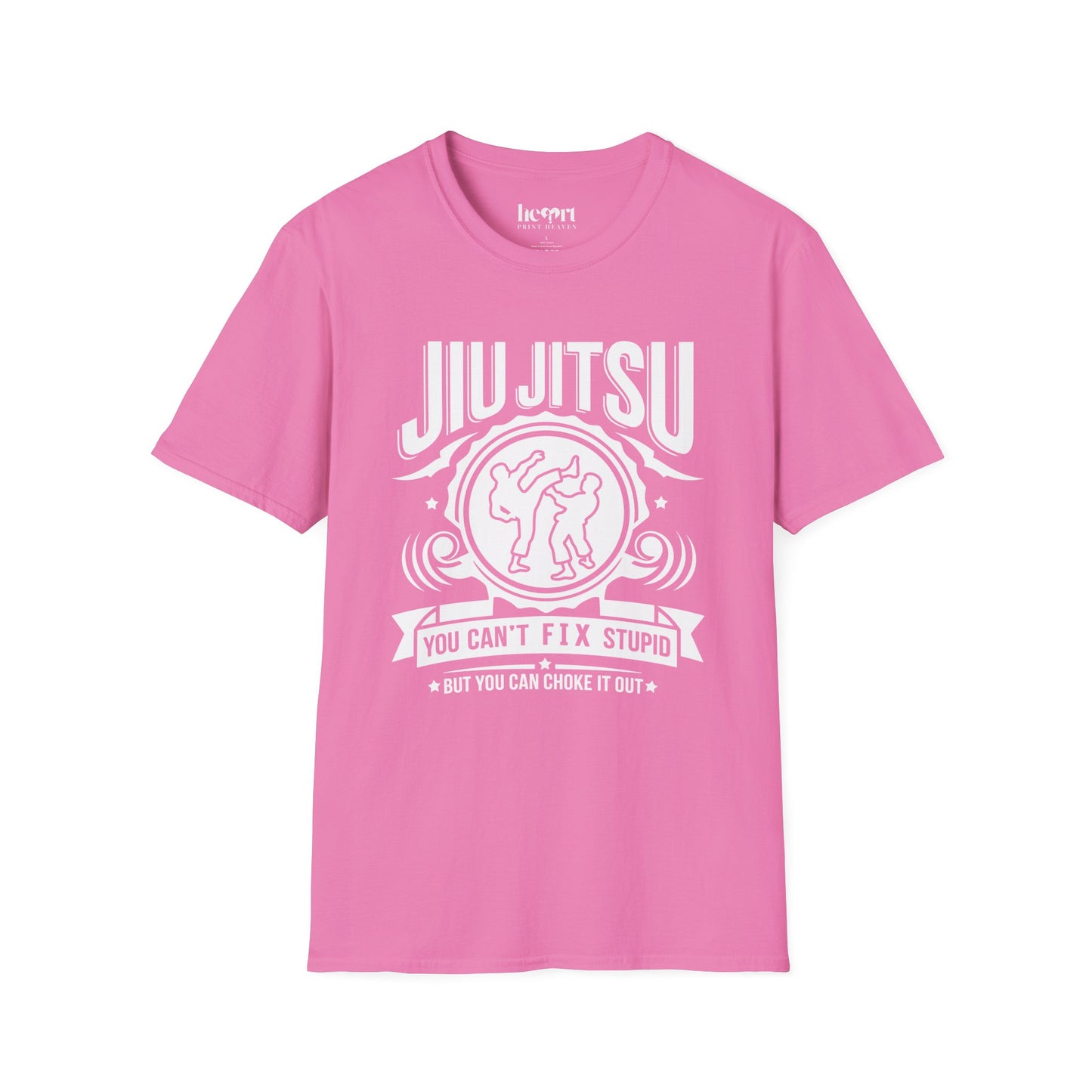 Jiu Jitsu You Can't Fix Stupid