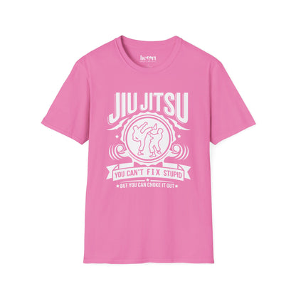 Jiu Jitsu You Can't Fix Stupid