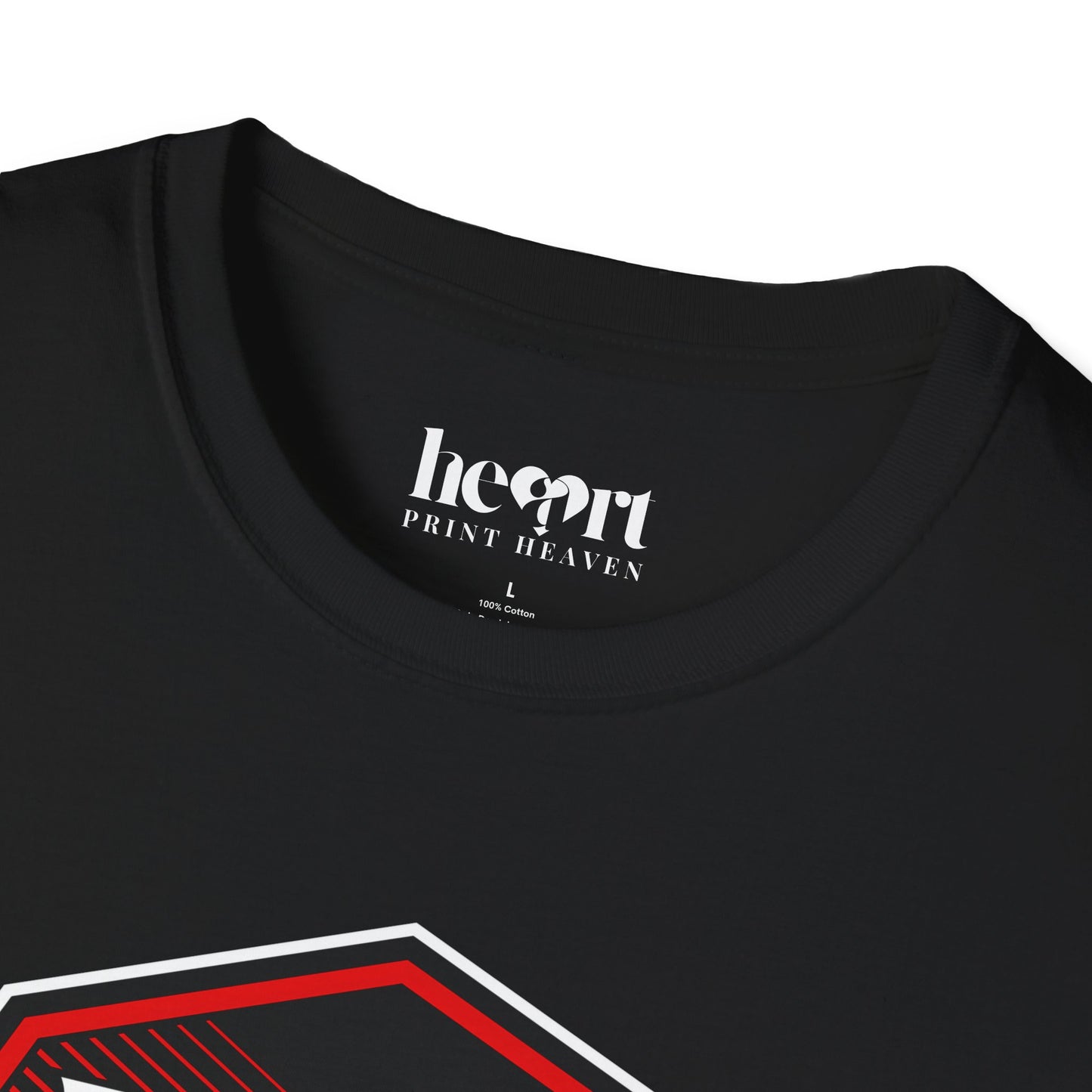 XVI-MMA Octagon