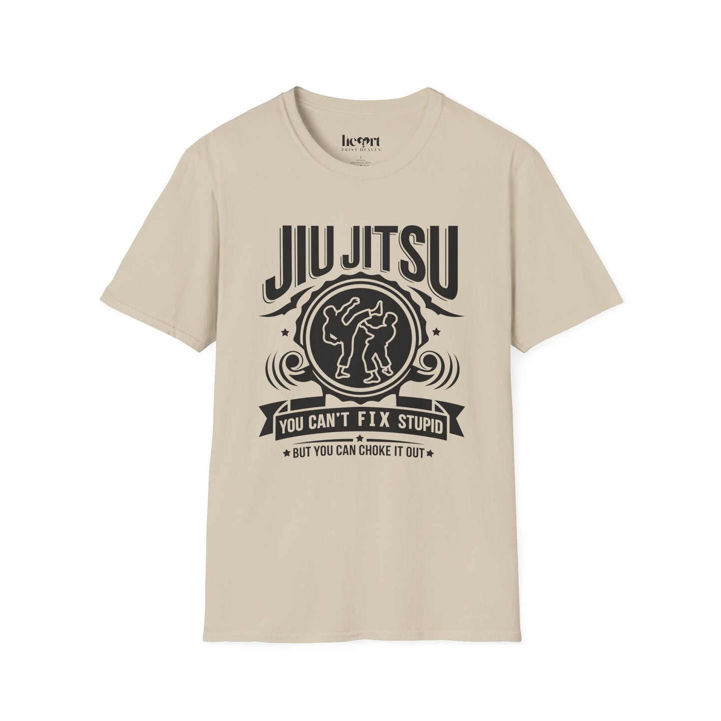 Jiu Jitsu You Can't Fix Stupid