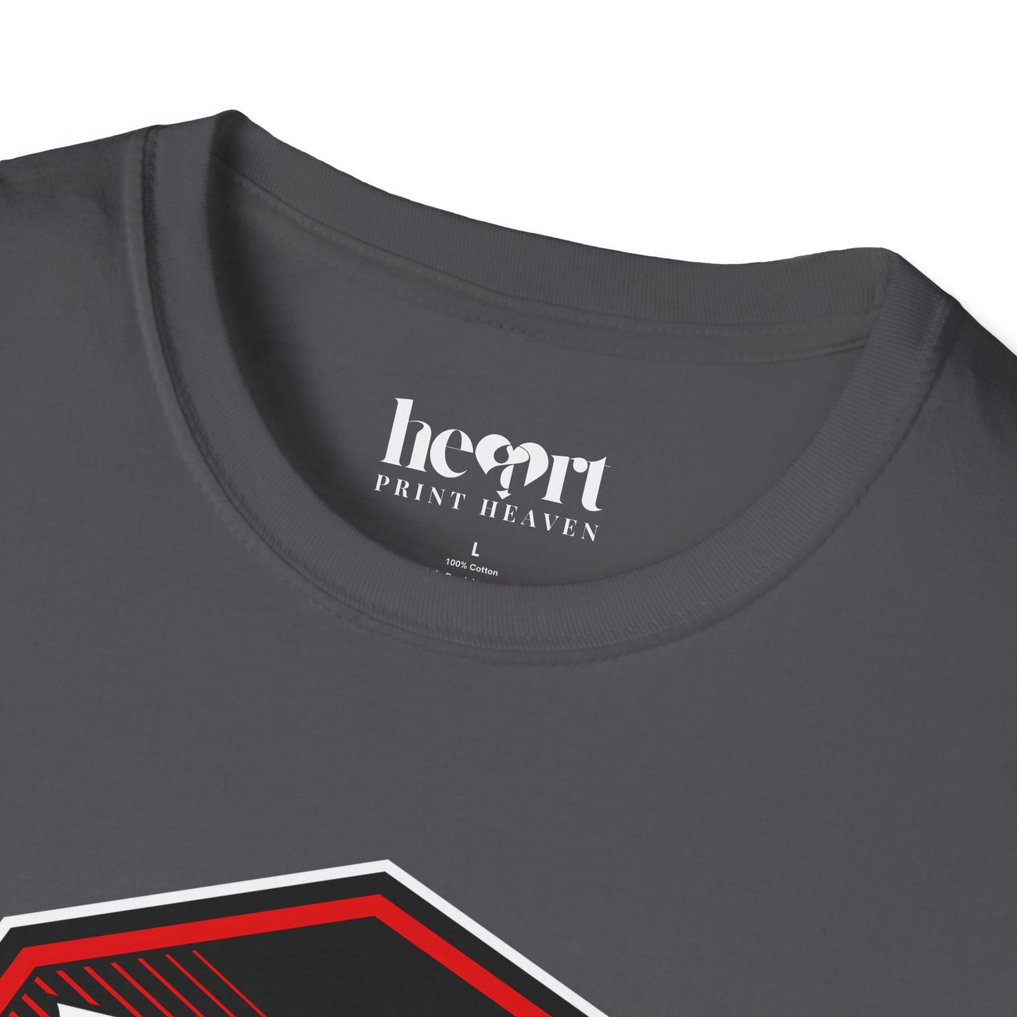 XVI-MMA Octagon