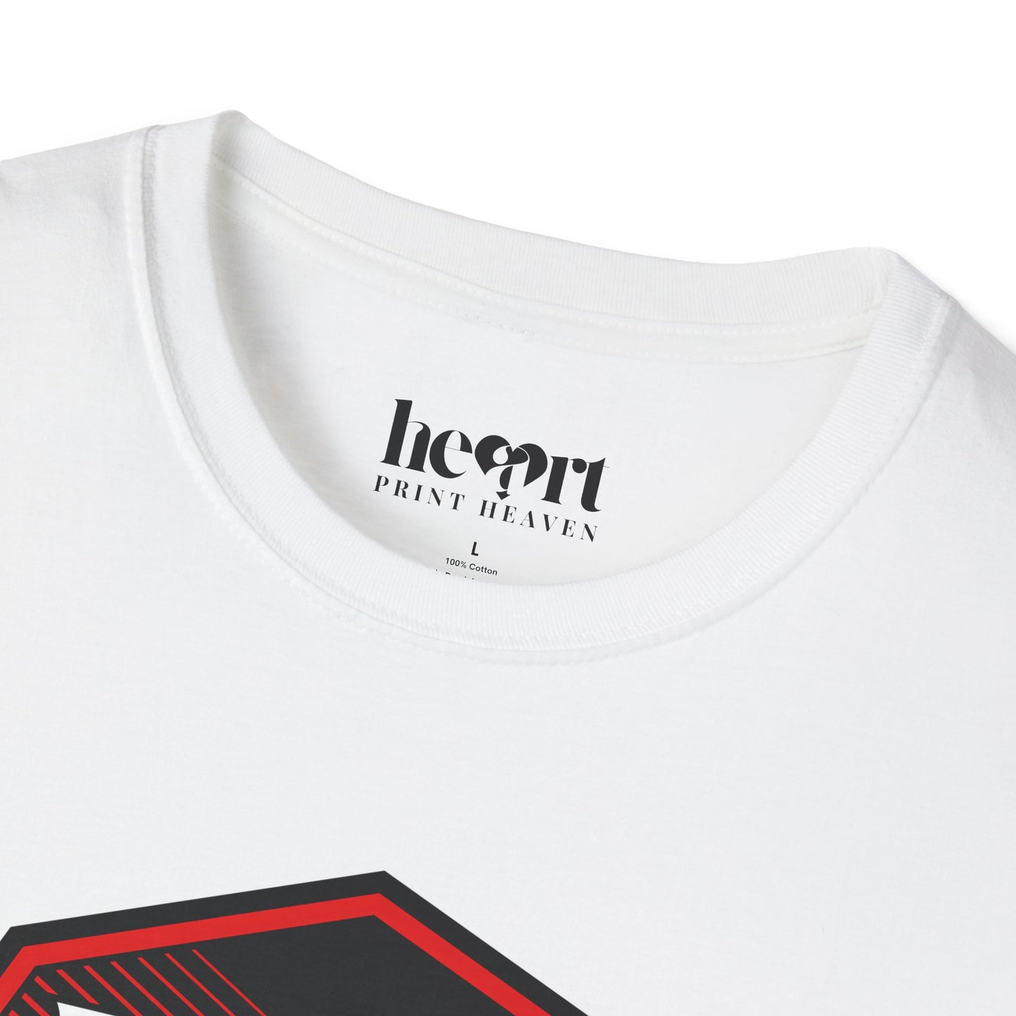 XVI-MMA Octagon