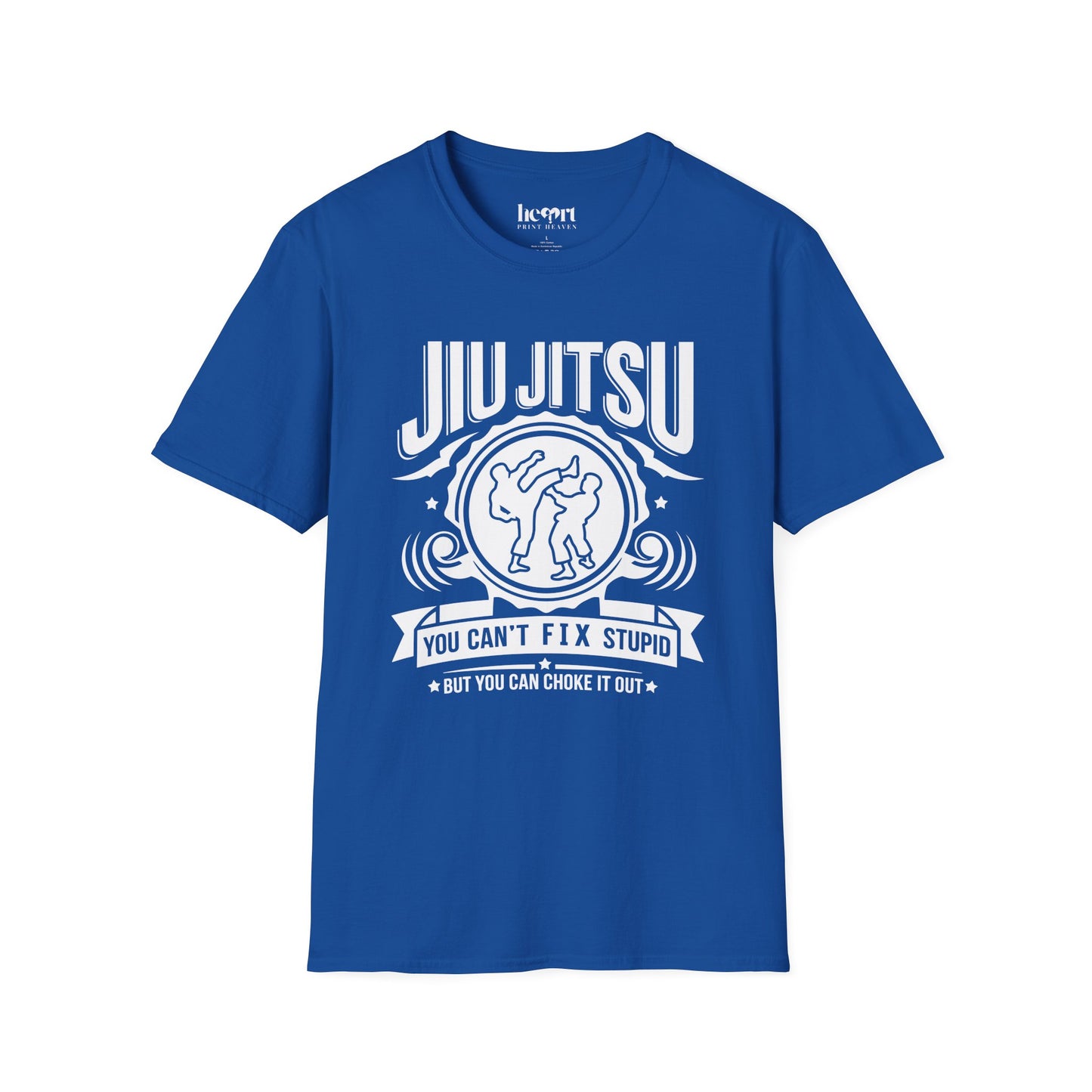 Jiu Jitsu You Can't Fix Stupid