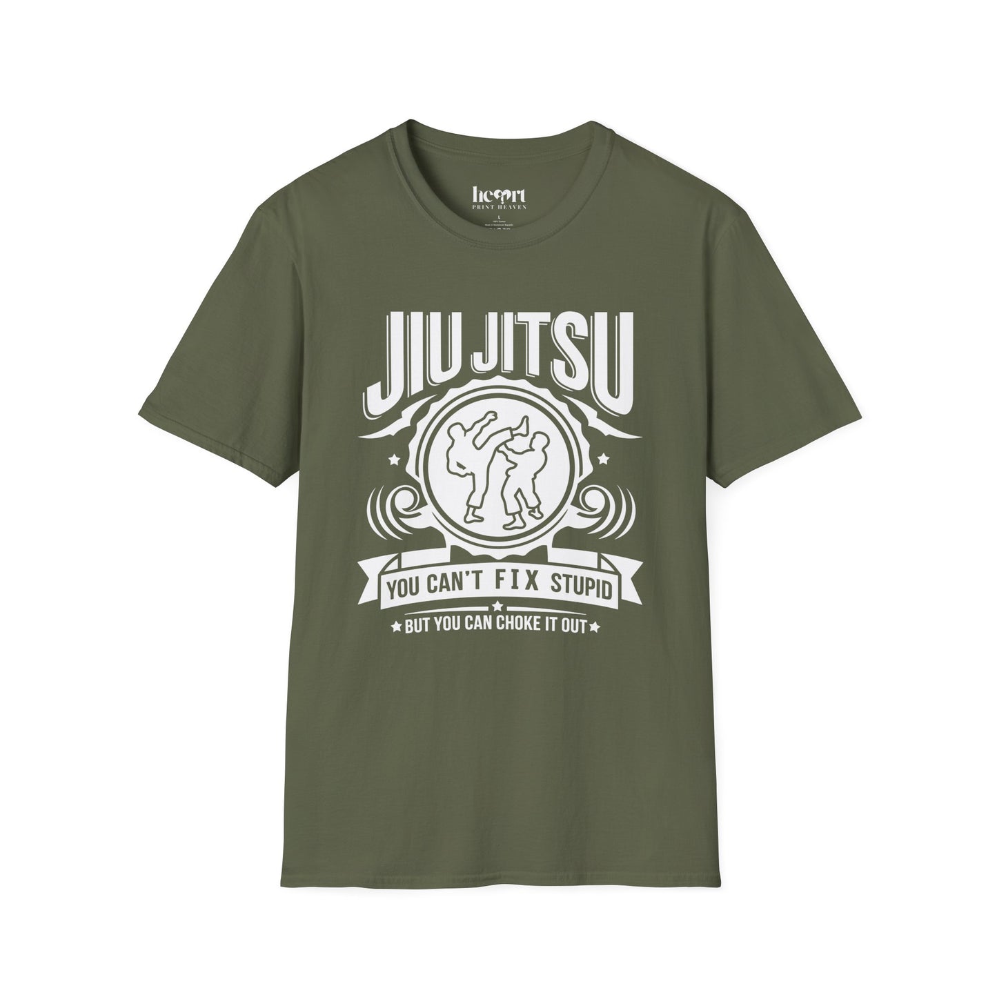 Jiu Jitsu You Can't Fix Stupid