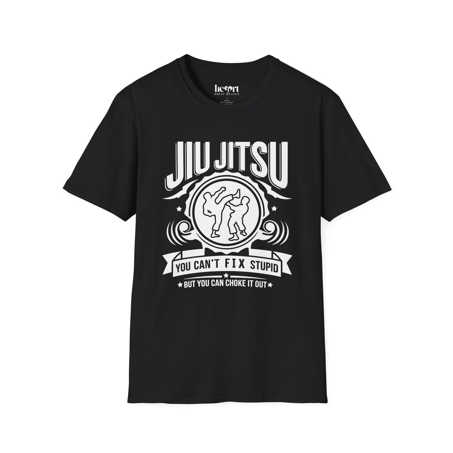 Jiu Jitsu You Can't Fix Stupid