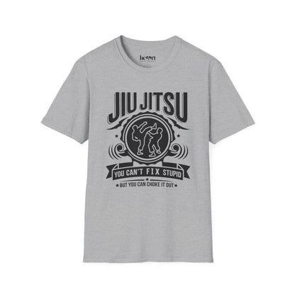 Jiu Jitsu You Can't Fix Stupid
