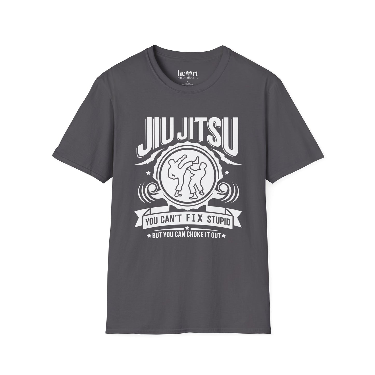 Jiu Jitsu You Can't Fix Stupid
