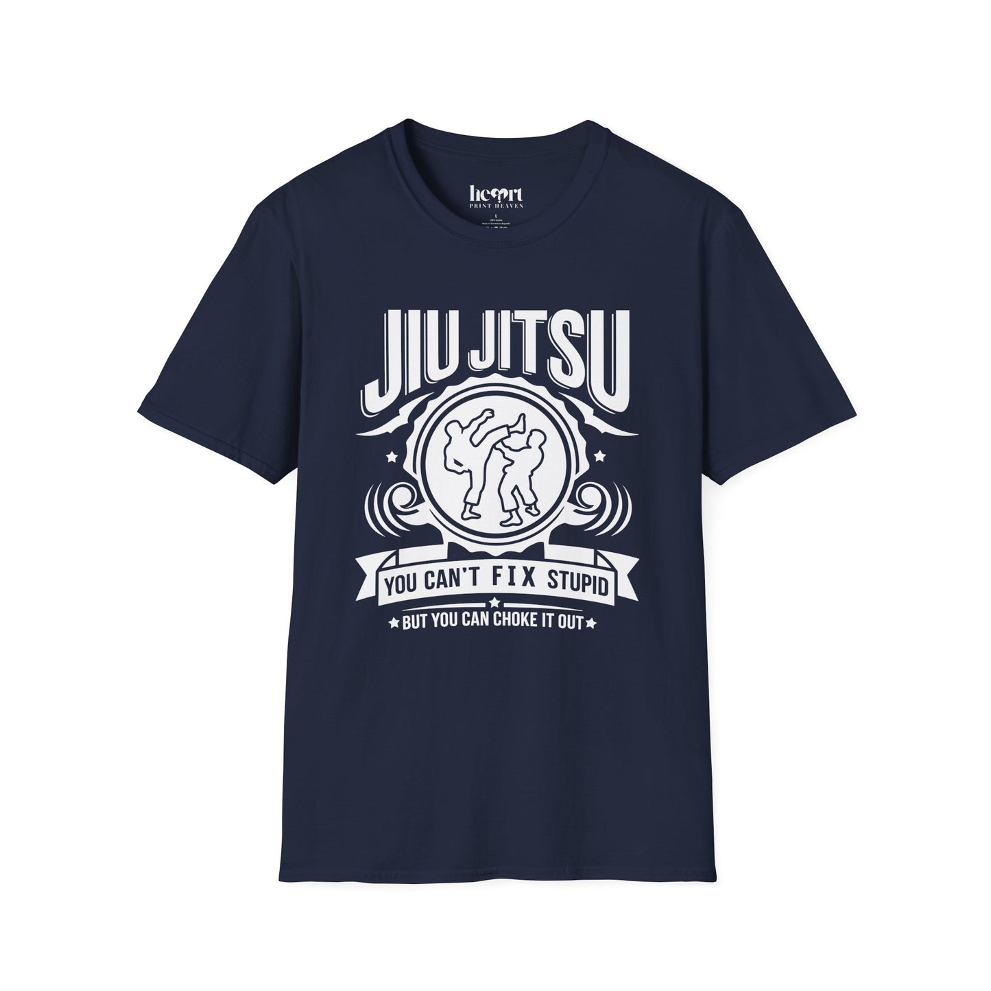 Jiu Jitsu You Can't Fix Stupid